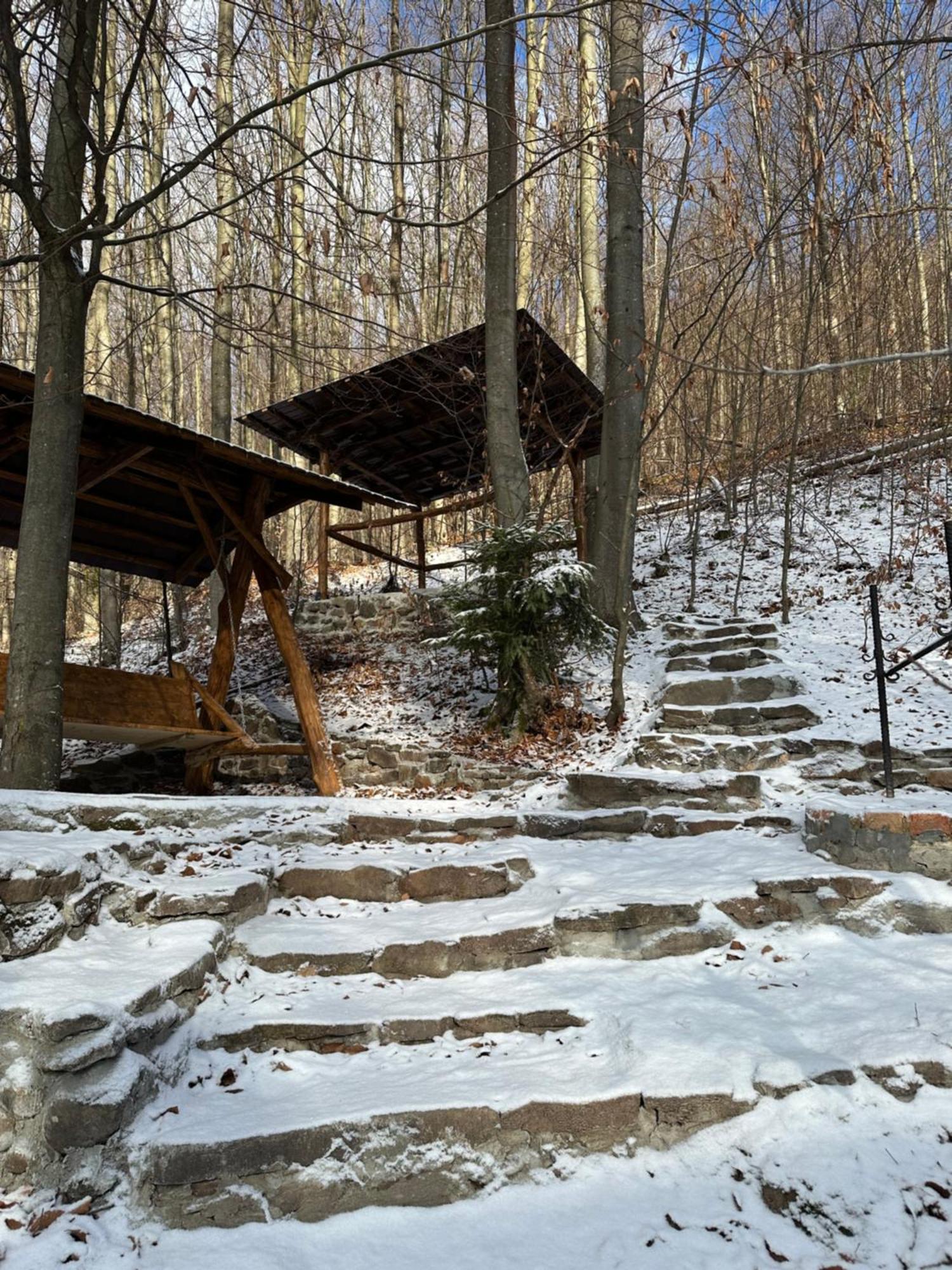Домик В Горах Villa Tur'ya Paseka ภายนอก รูปภาพ